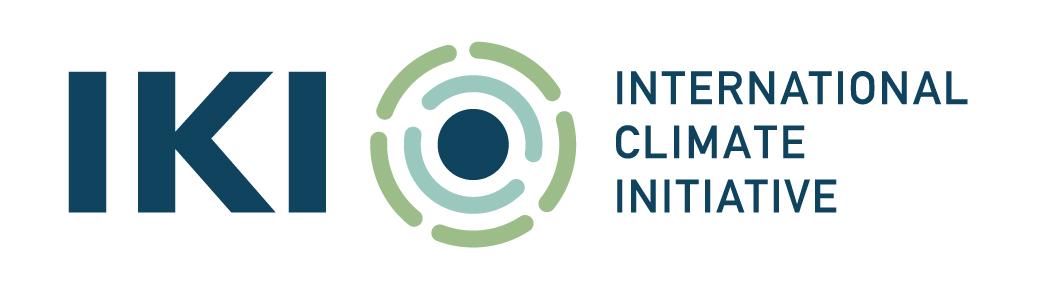 IKI logo